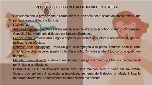 Sopralluogo verifica presenza di zecche nel parco della Pisana.
Zecche: come proteggerci.
